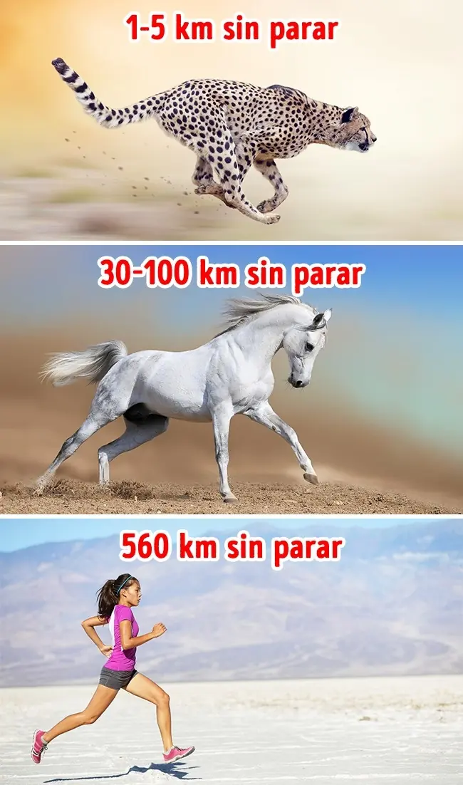 Pruebas de que nuestro cuerpo es una máquina perfecta