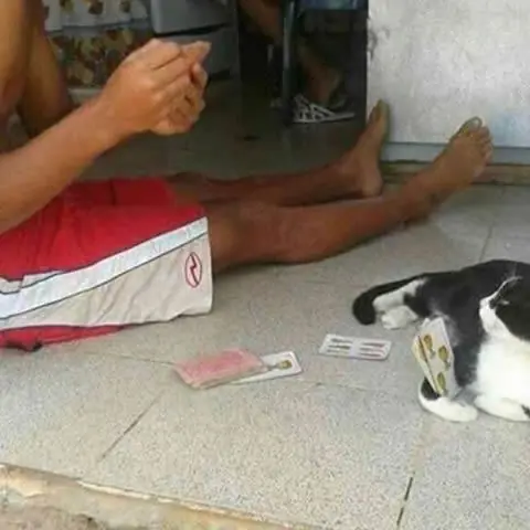 Humor para Alegrarte el dia 100% garantizado +1 si te ries