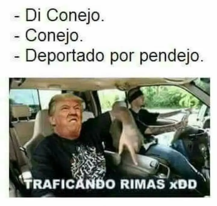 Pero mirate estas imagenes de humor papa