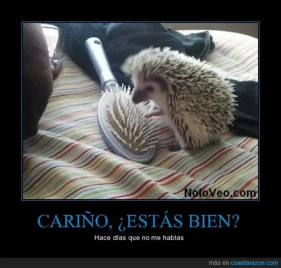 Humor para tener un buen dia