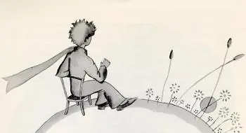 El Principito [Cuento completo] [1° Parte]