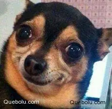 Me paso algo horrible y te lo cuento