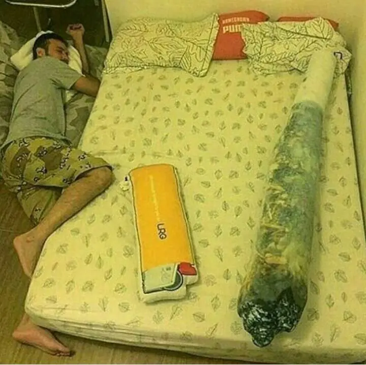 Pero mirate estas imagenes de humor papa