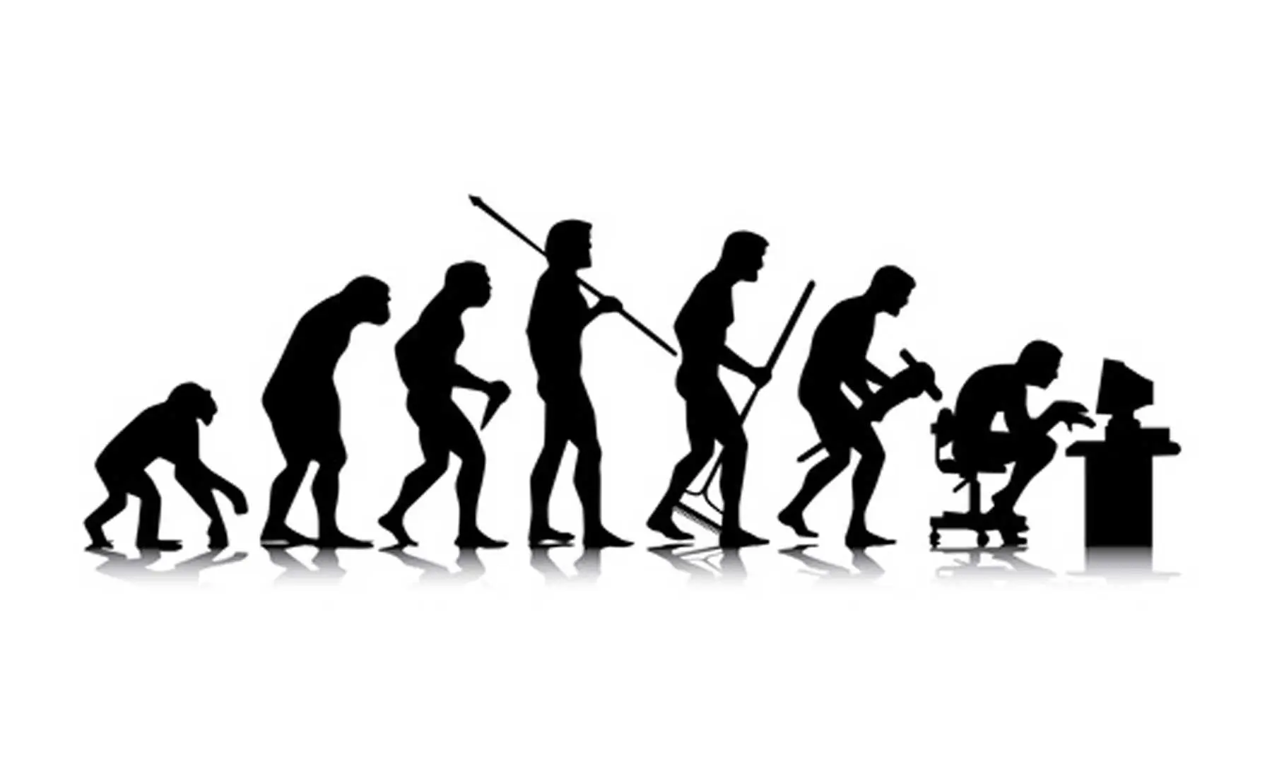 Evolucion