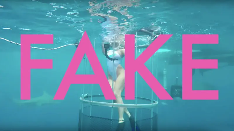 Video viral de tiburón mordiendo a pornstar es falso