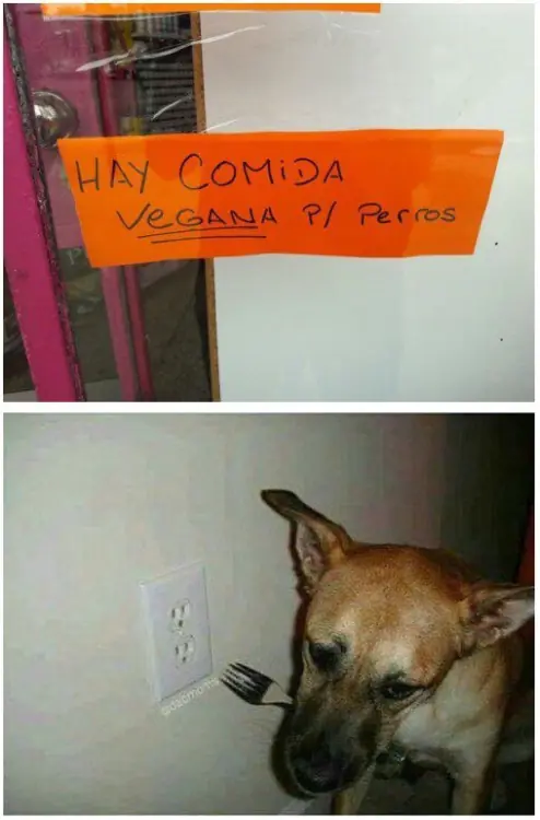 comenzar