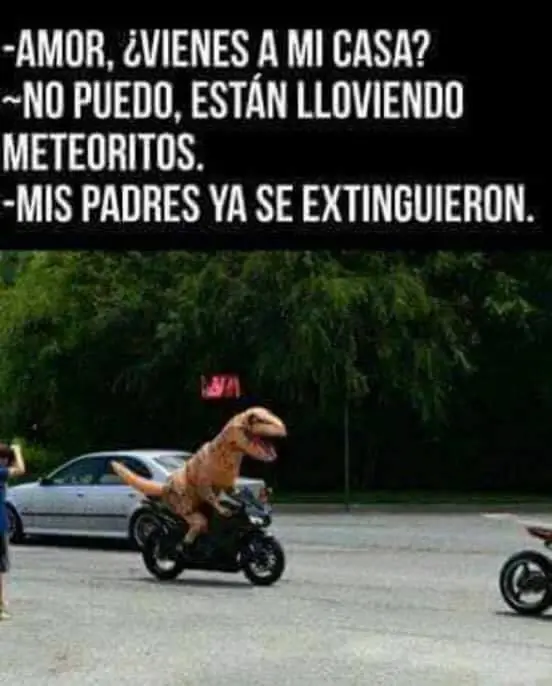 Humor para la tarde