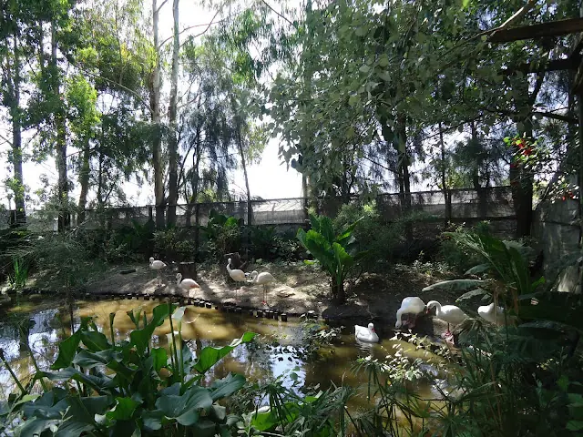parque mizujo