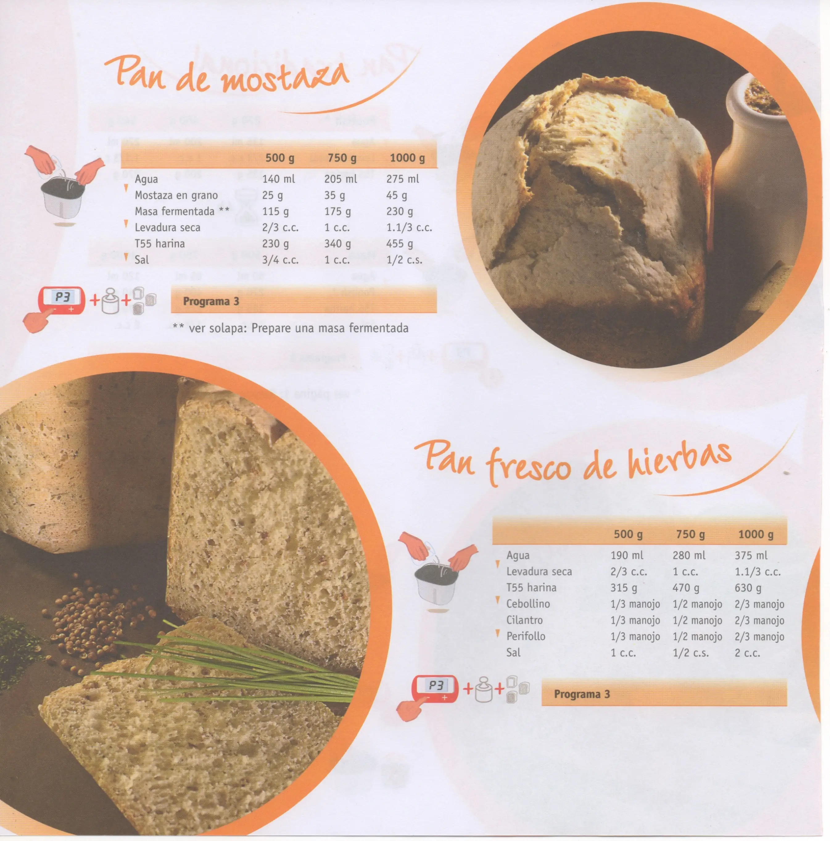 libro cocina