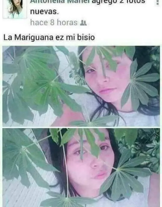 humor