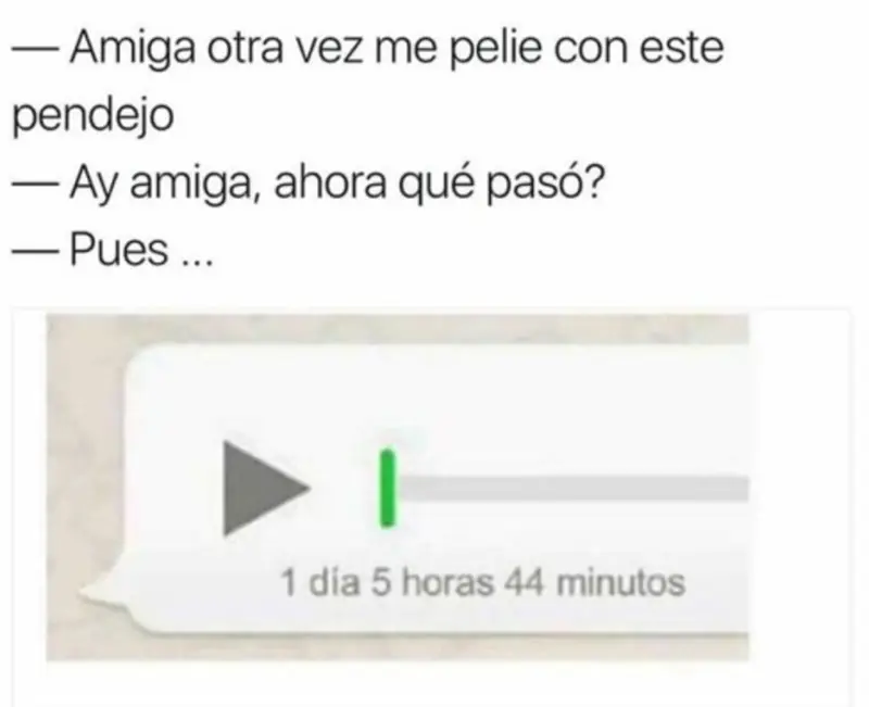 humor taringuero