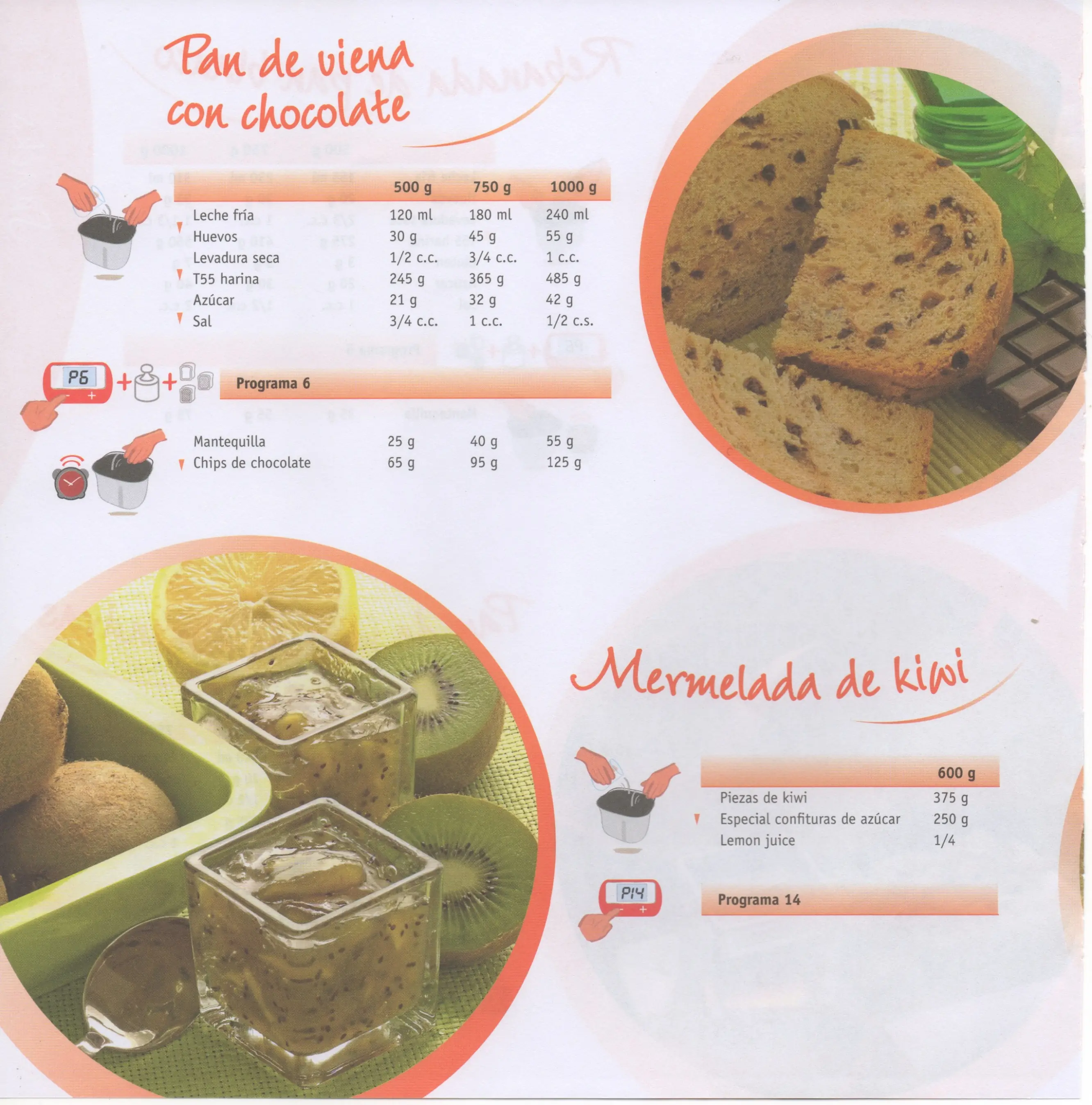 libro cocina