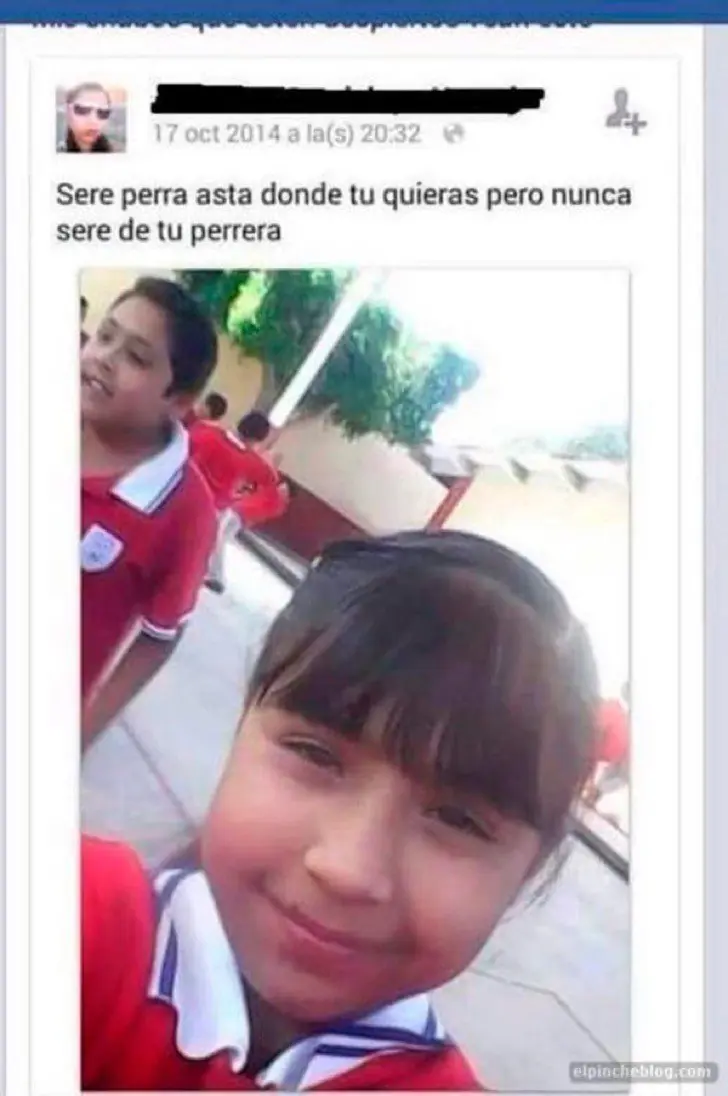 humor facebook