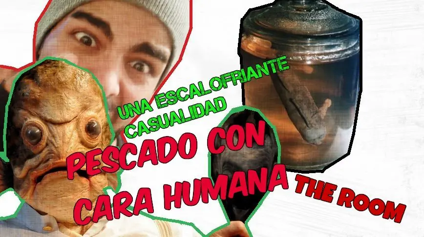 Cosas curiosas y aterradoras. (Parte 01)