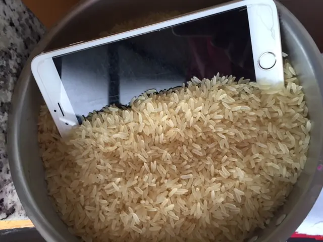 celular