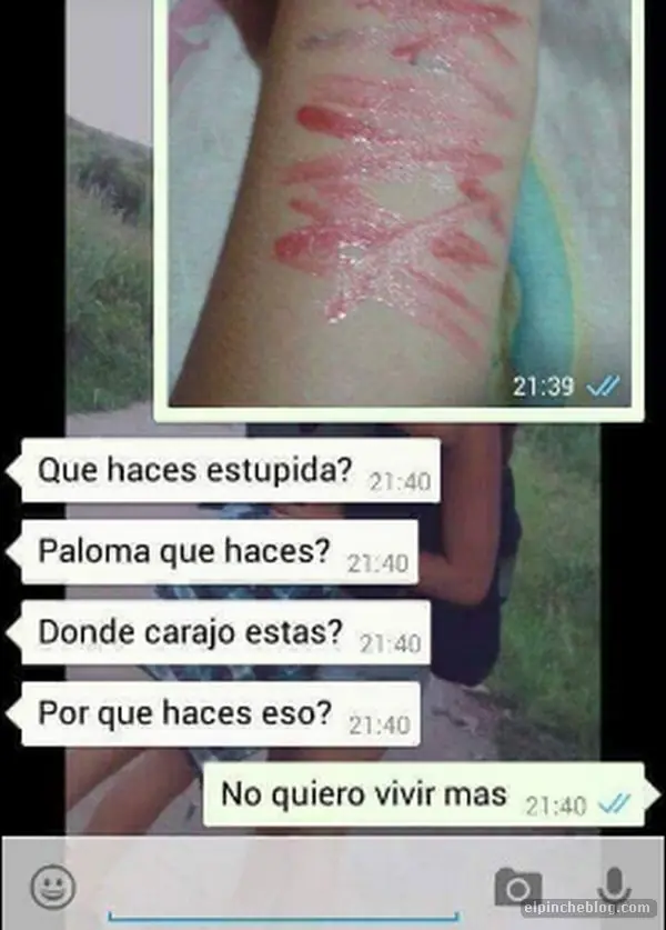 publicaciones publicaciones
