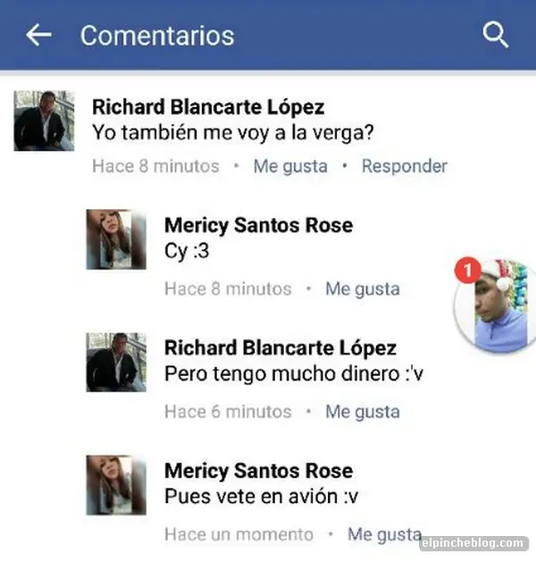 amor amor
