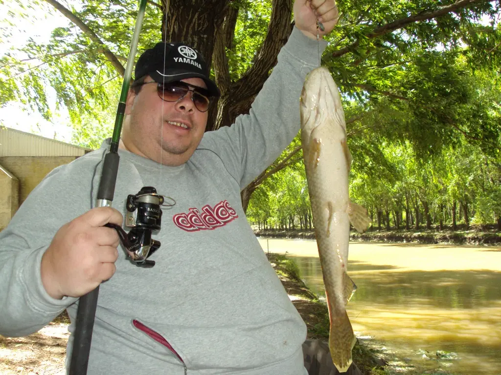 taringueros taringueros