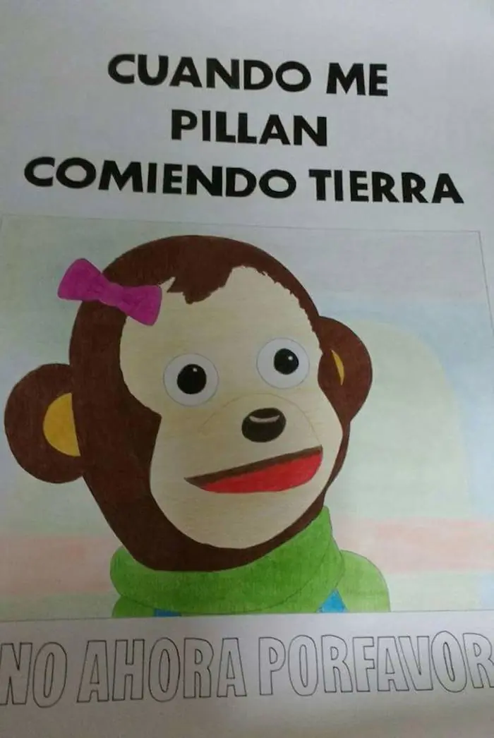 memes
