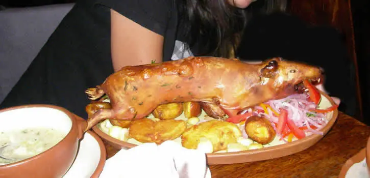 adolscente adolscente