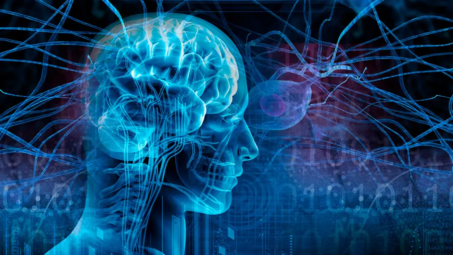 Porque los epilépticos convulsionan con ciertas imágenes