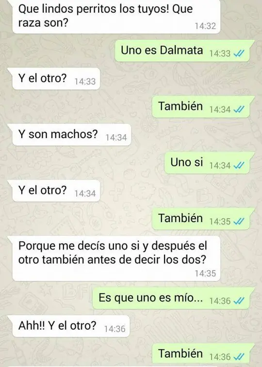 Conversaciones Graciosas