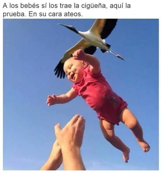 humor nocturno