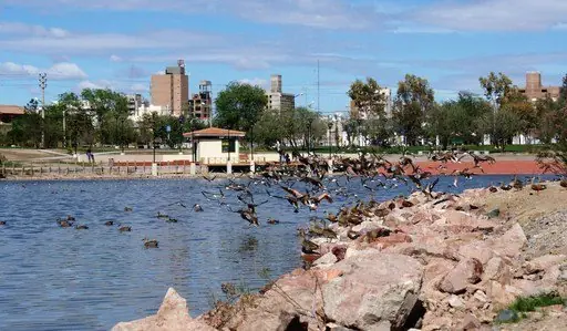 trelew trelew