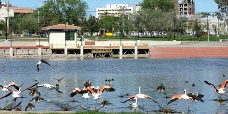 mi ciudad mi ciudad