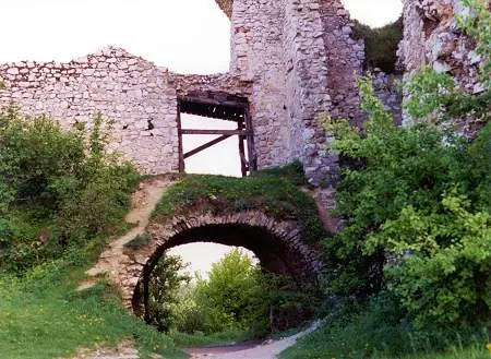 1614