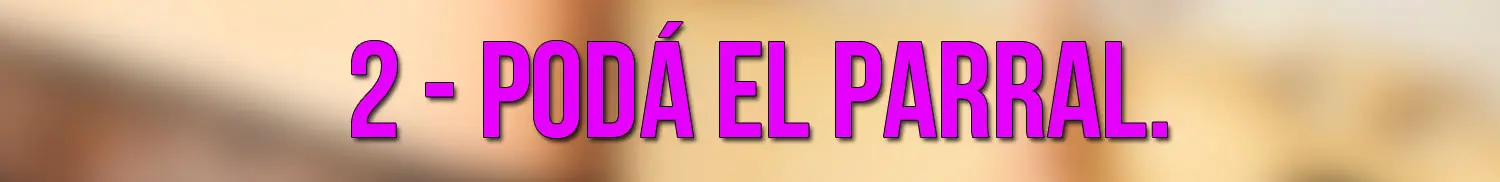 Tips antes de ponerla