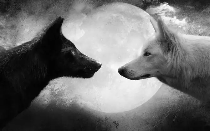 [Reflexión] Tus dos lobos, una gran lucha interior