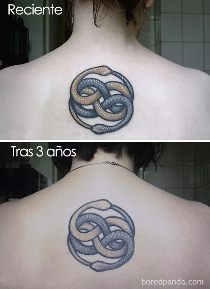 ver ver
