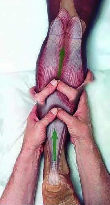 SENCILLO