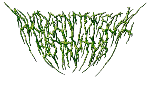 El Death metal es para nenas.