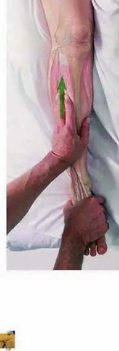 Te enseño a dar un masaje con 17 imagenes!
