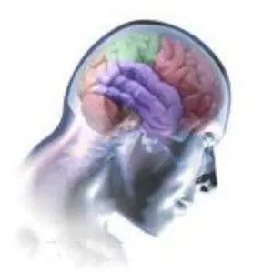 medicina