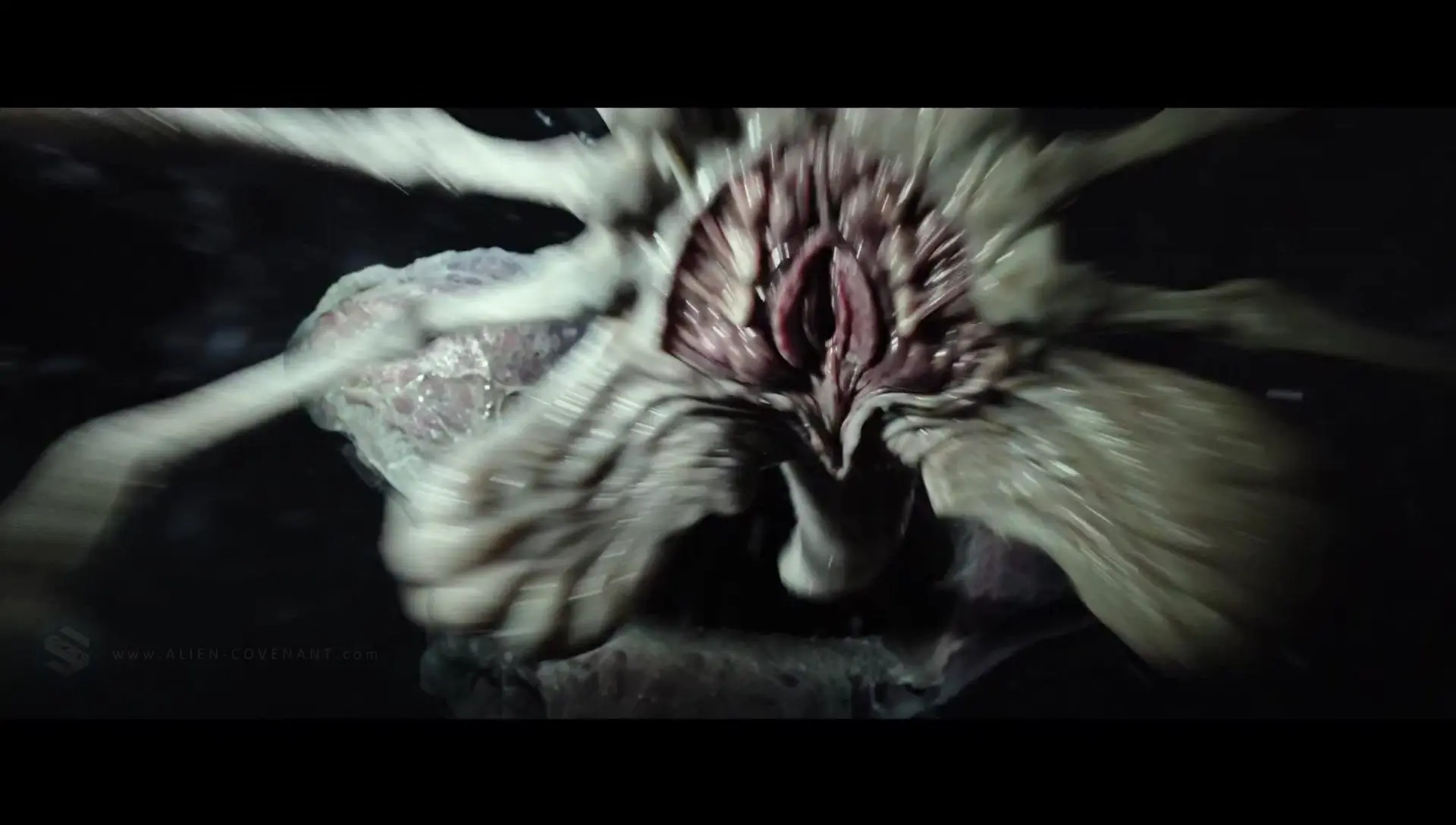 alien covenant online