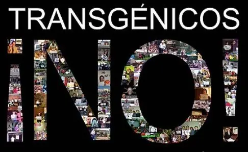 Alimentos orgánicos vs. transgenicos