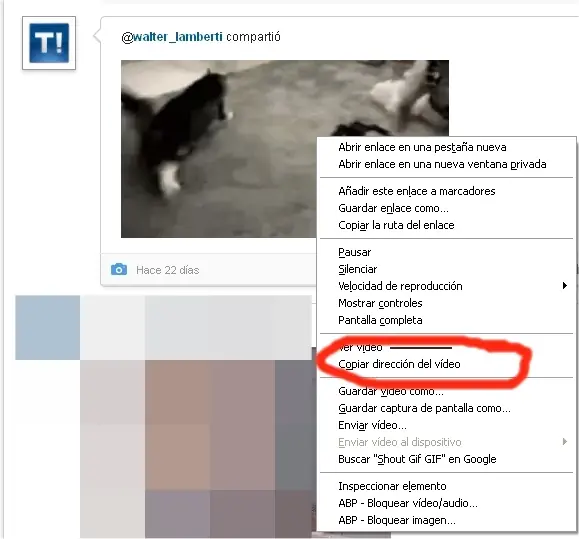 videos videos