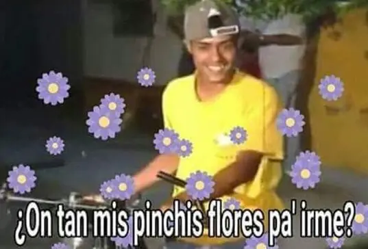 graiosas