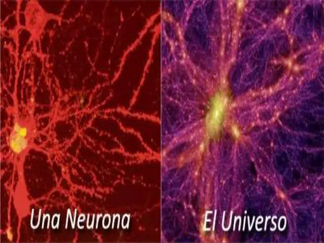 El universo fractal e infinito (opinion)