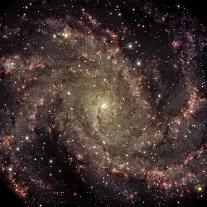 La Supernova más cercana en años