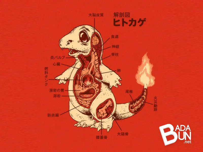 11 cosas que no sabias de Pokemon