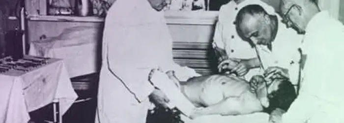 Primera Ley proteccion animales