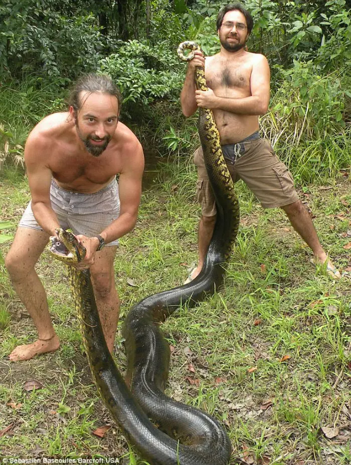 tragar tragar