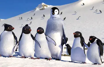 happy feet happy feet