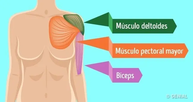 7 Cambios positivos al hacer "La plancha" a diario 7 Cambios positivos al hacer "La plancha" a diario