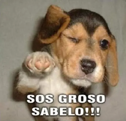 Hice una salamandra y te enseño a hacerla! Herrería, propio.