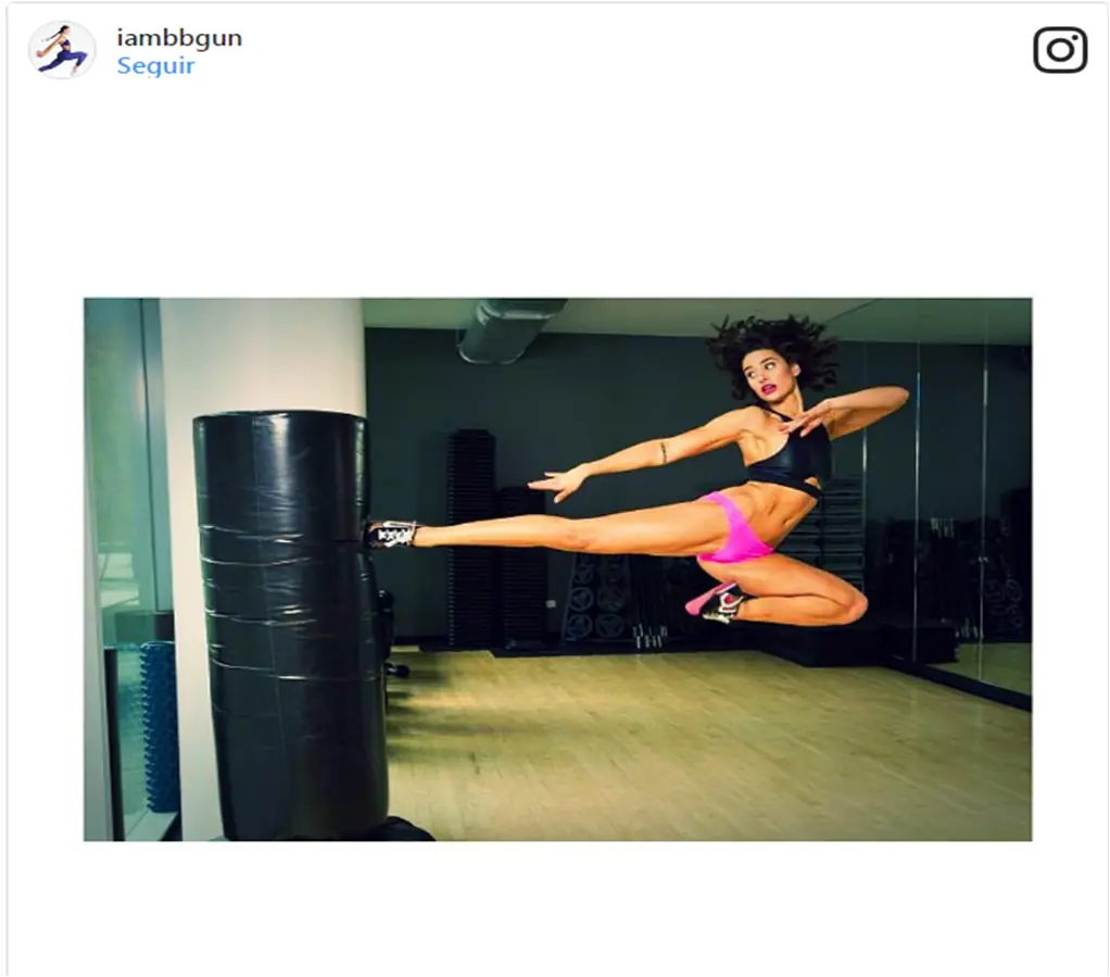 vandamme vandamme